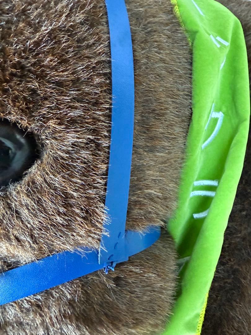 ドバイシーマクラシック　ハーツクライ　特大