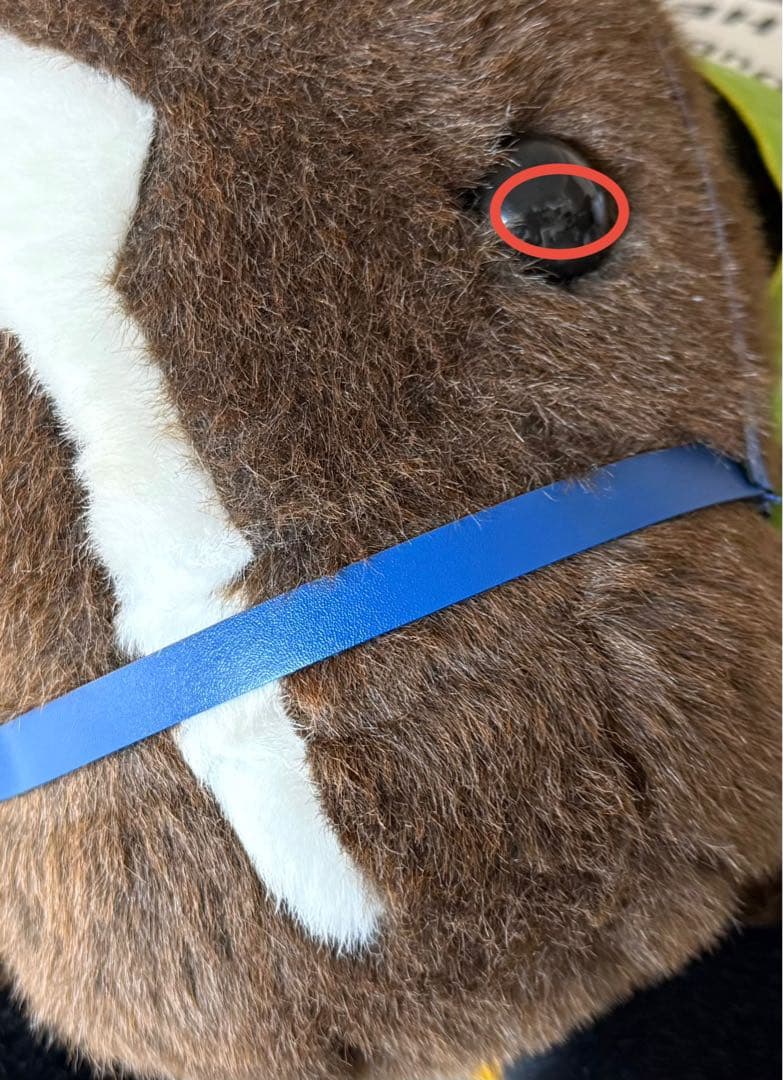 ドバイシーマクラシック　ハーツクライ　特大