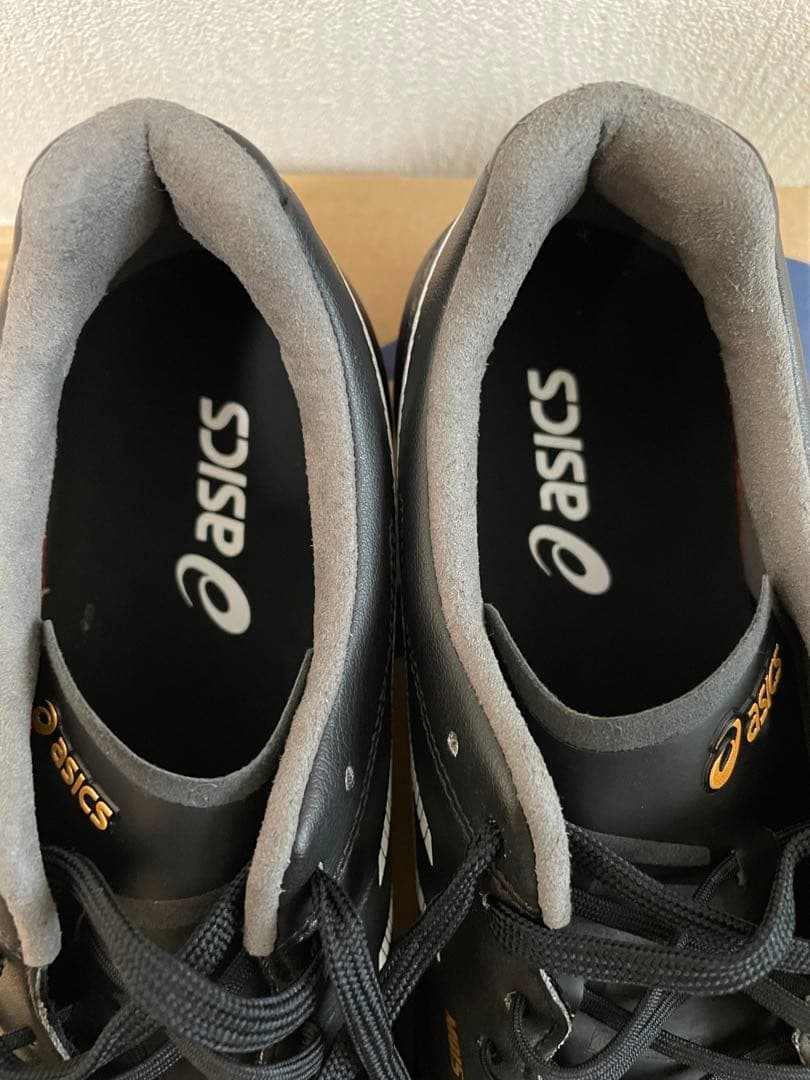 アシックスDS LIGHT X-FLY 5