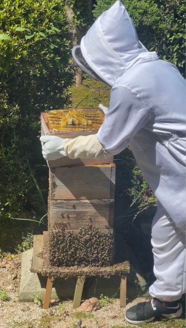 希少！☆ニホンミツバチはちみつ☆ 1.4キロ