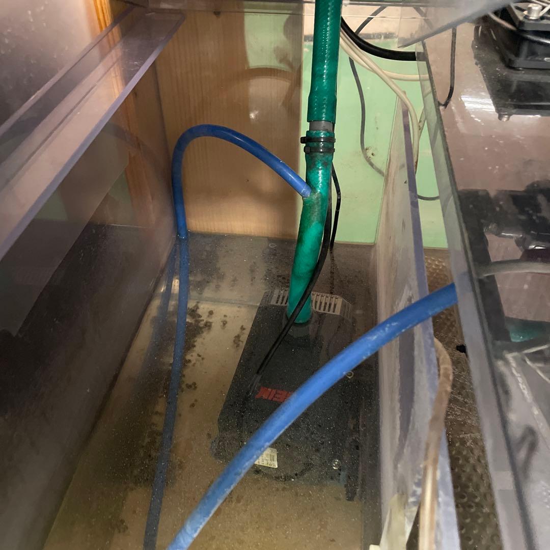 オーバーフロー水槽 引き取り限定