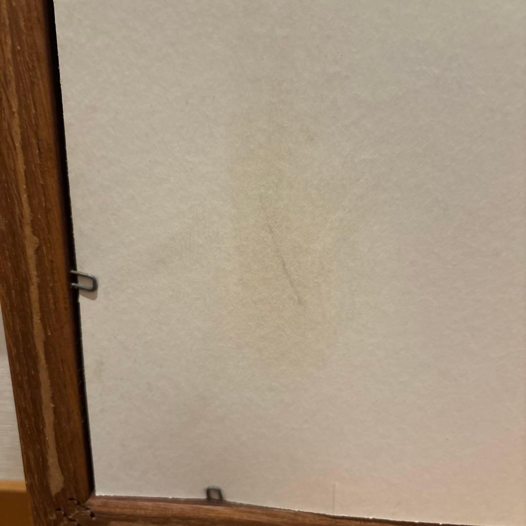 希少　ラパラ　絵画　トラウト　ブラックバス　J-7 ルアー　フィッシング