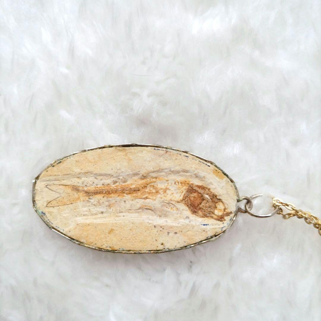 古代魚 ダスティルベ 化石 ネックレス ブラジル産 ヴィンテージ 希少