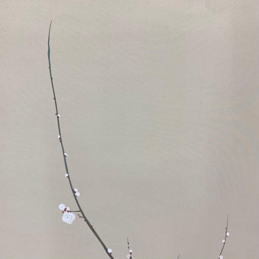 掛軸 酒井抱一 梅椿に鶯図 木箱 十二ヶ月花鳥図 工芸 太巻 7-24