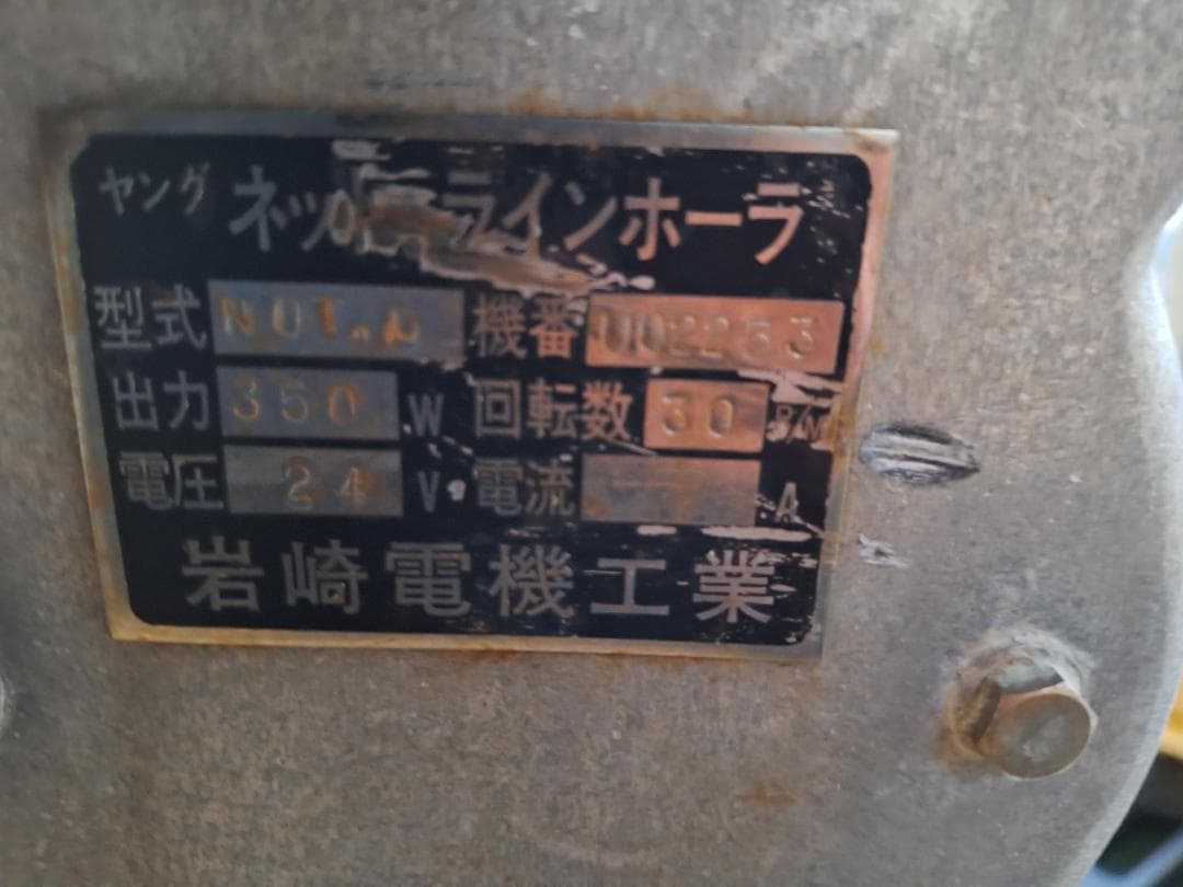 ヤングネットラインホーラ