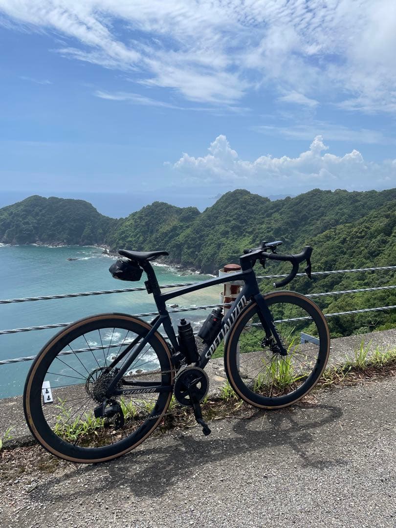 最終値下げSpecialized Tarmac SL7 comp 54 フレーム