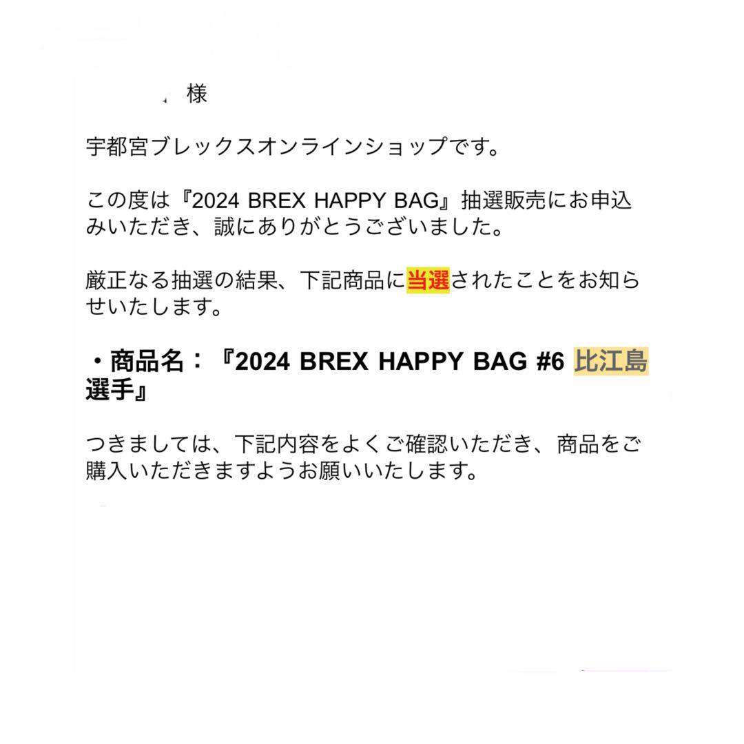 【美品】2024 BREX HAPPY BAG 比江島選手　サイン入アートパネル