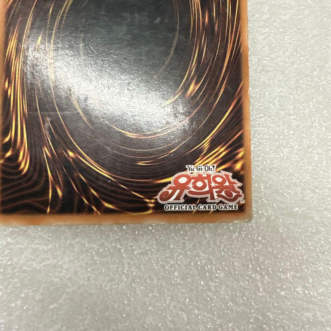 し*せ様 韓国版 ブラック・ローズ・ドラゴン ホログラフィックレア