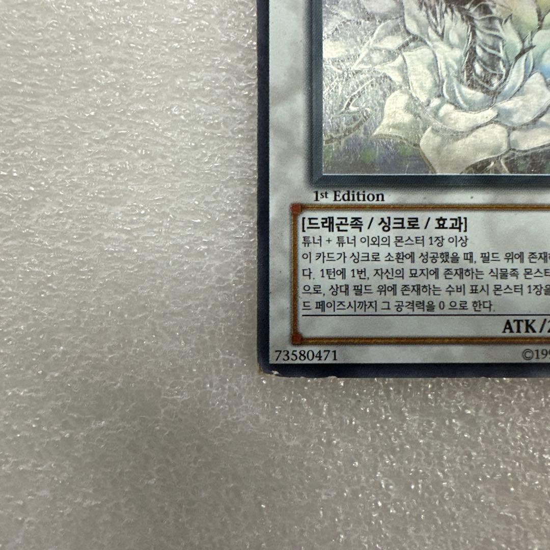 し*せ様 韓国版 ブラック・ローズ・ドラゴン ホログラフィックレア