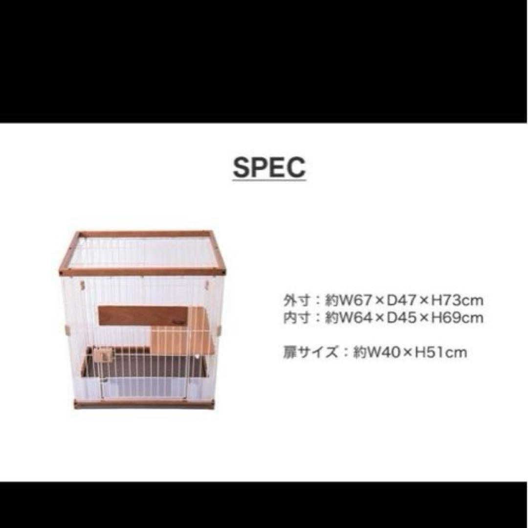 y キャットサークルシングル