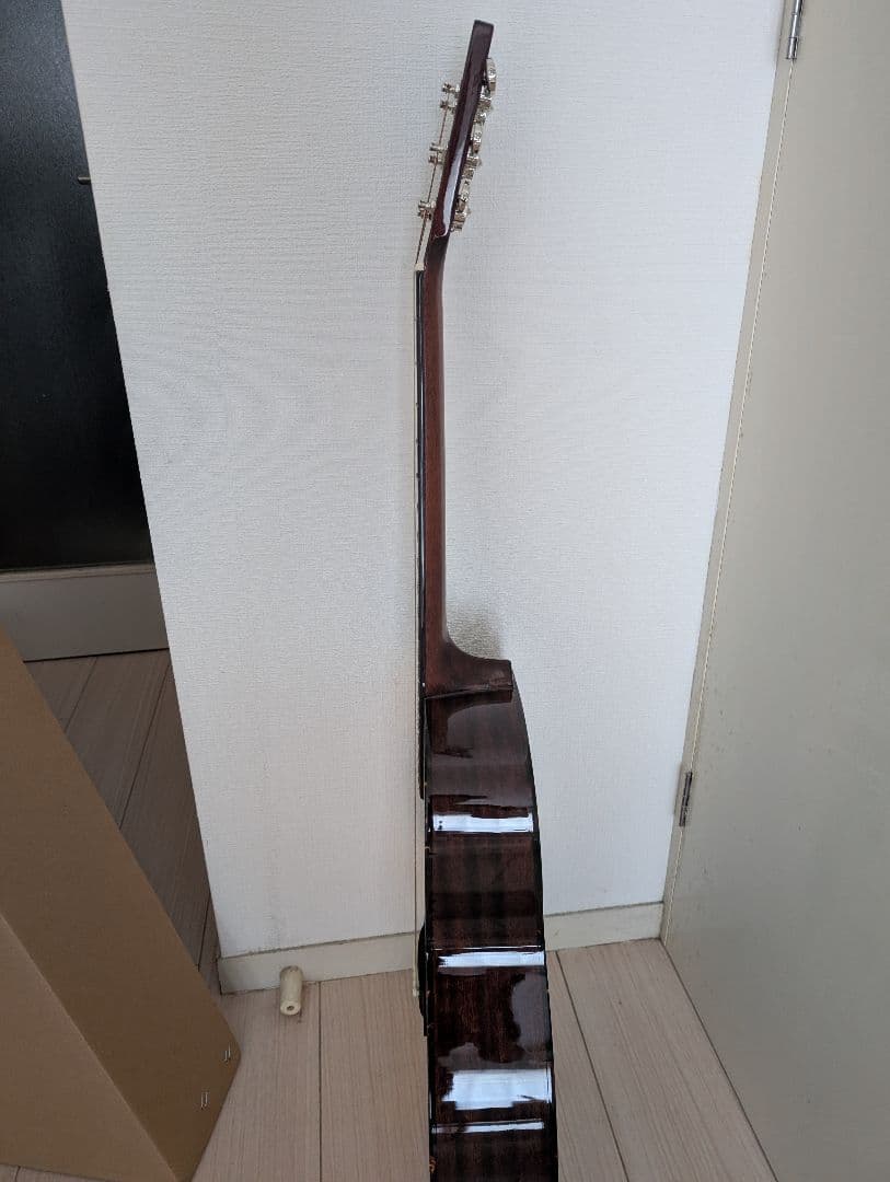 Recording King RO-G6 アコースティックギター OOO