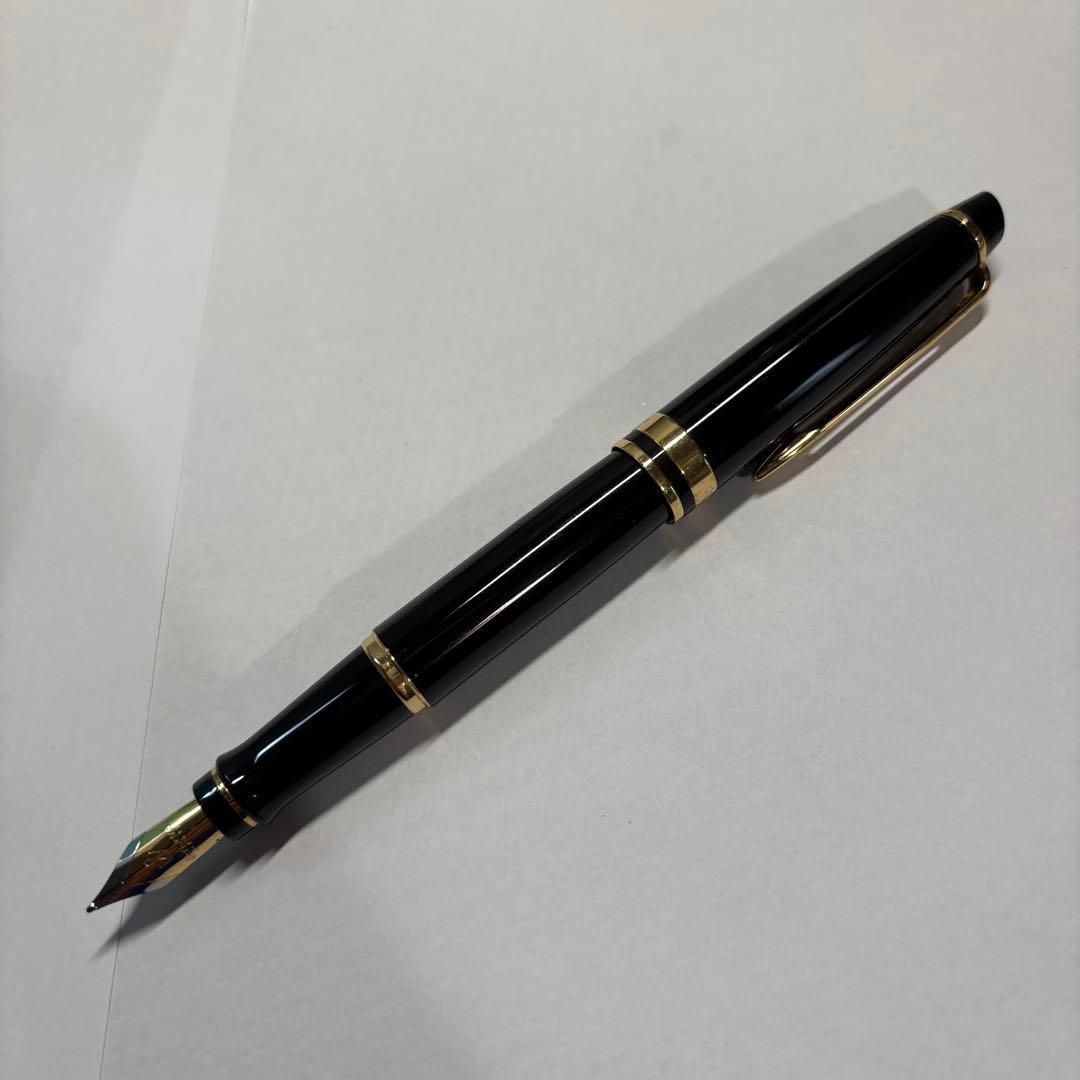 WATERMAN 万年筆 エキスパート エッセンシャル ブラックGT M（中字）