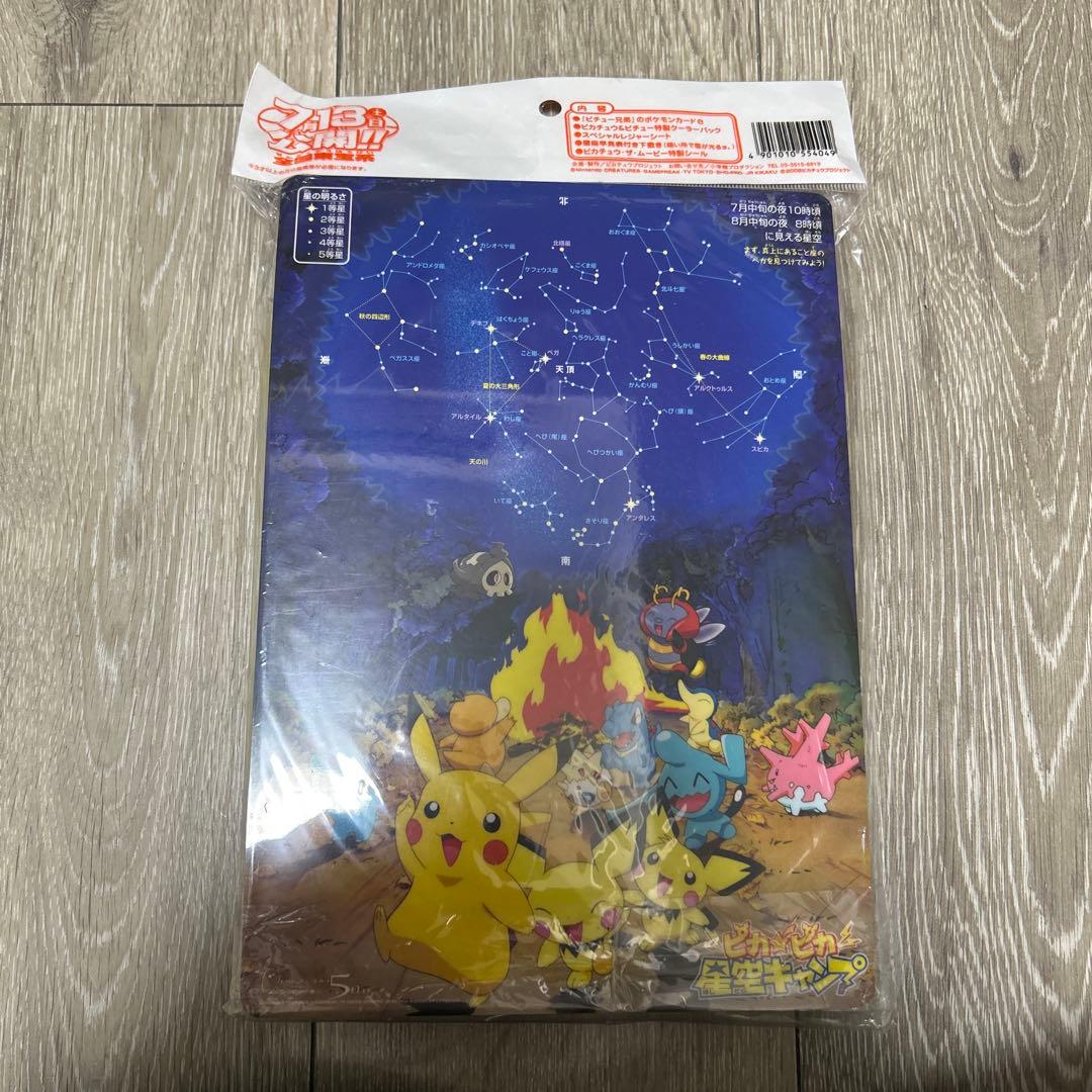 ポケモンカード ピチュー兄弟　特製ポケモングッズ付き！　プロモ　未開封