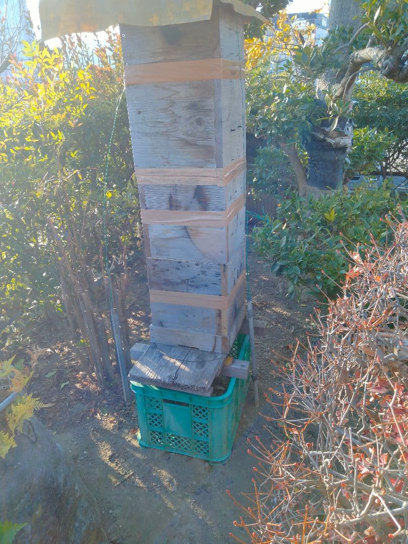 日本蜜蜂　百花蜜　200g×5　天然非加熱　　　ハチミツ　5種の味比べセット 2