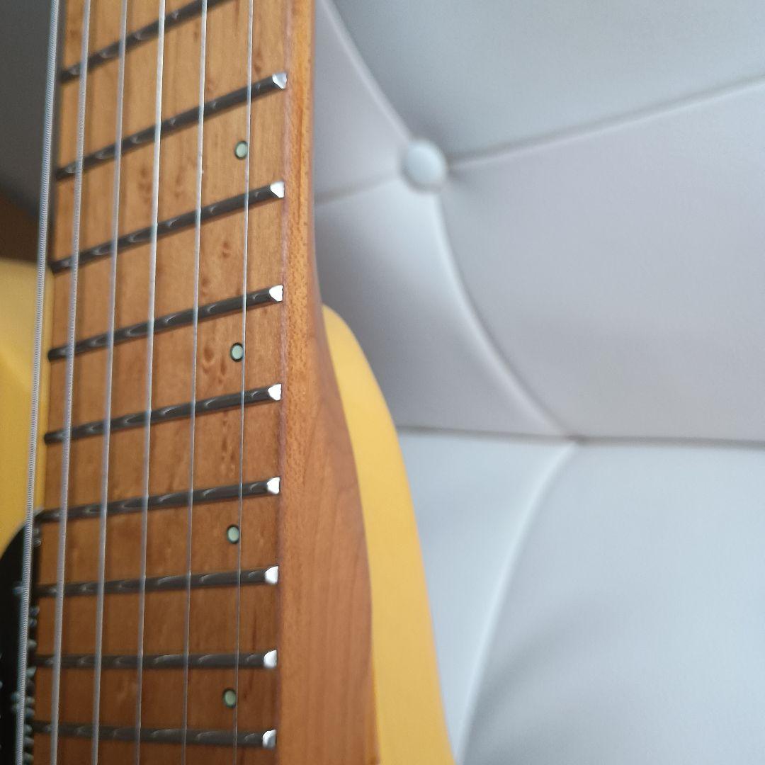 ギター .strandberg* Salen Classic