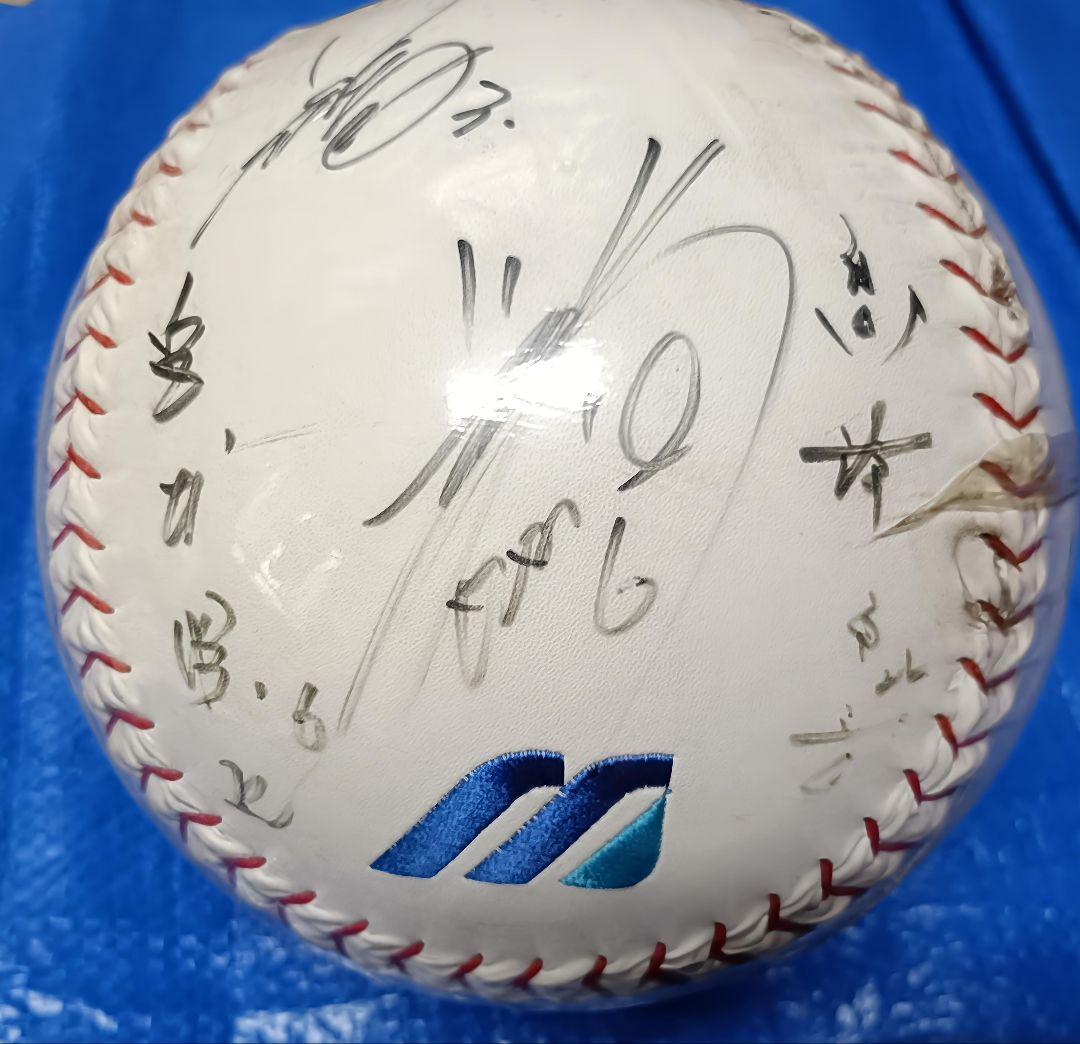 2002 MIZUNO プロ野球 寄書き 直筆サインボール