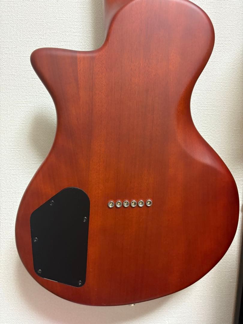 RYOGA HORNET /LEC TQM EBK 【生産完了品】