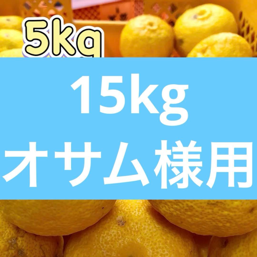 【農家直送】柚子15kg（箱込み） ◎ご家庭用品