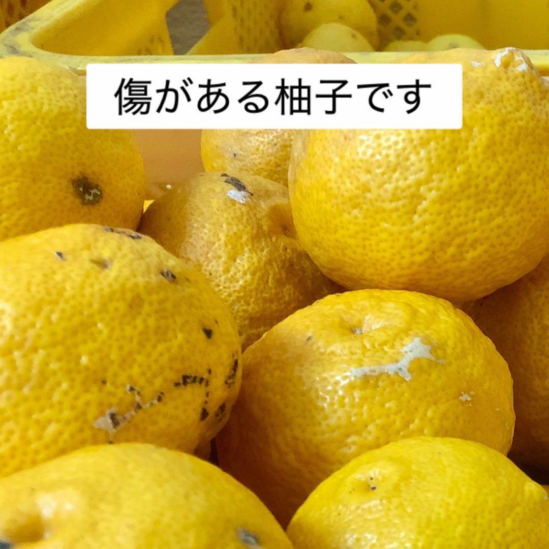 【農家直送】柚子15kg（箱込み） ◎ご家庭用品