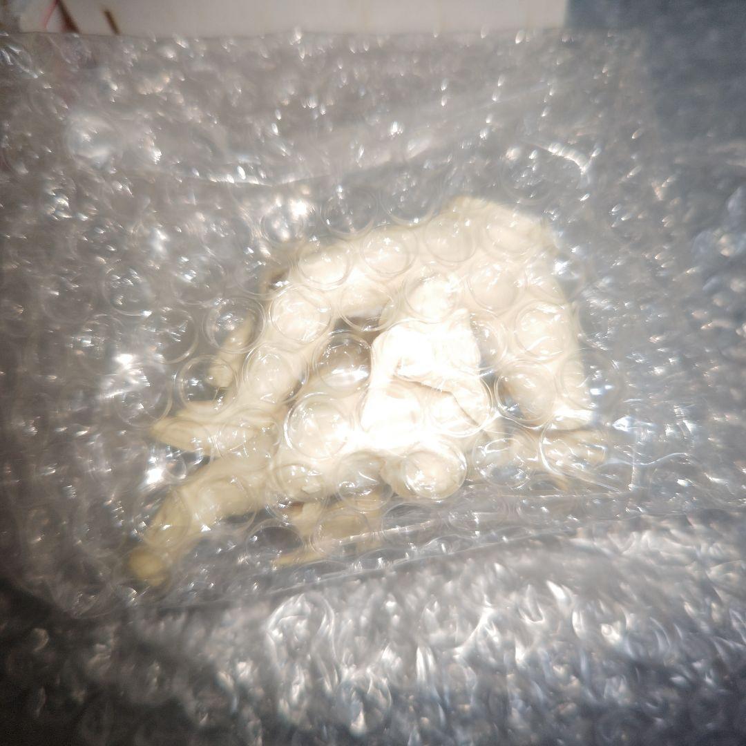 獣神サンダーライガー　1/10　新日本プロレスリング　ガレージキット　未組立