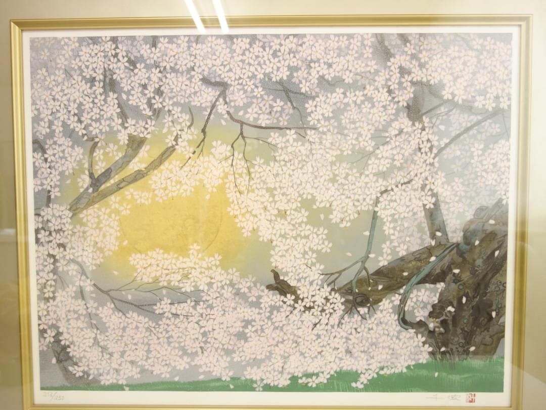 【中古】M▽中島千波 臥龍の桜 リトグラフ 版画 額縁 (39364)