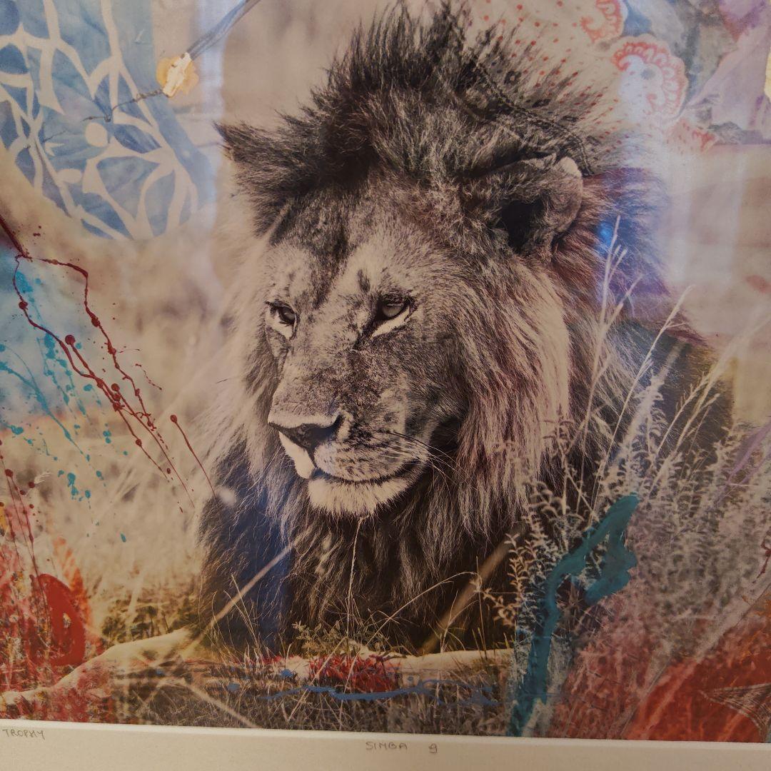 Ｉ'm not a trophy sinba 9　アート作品