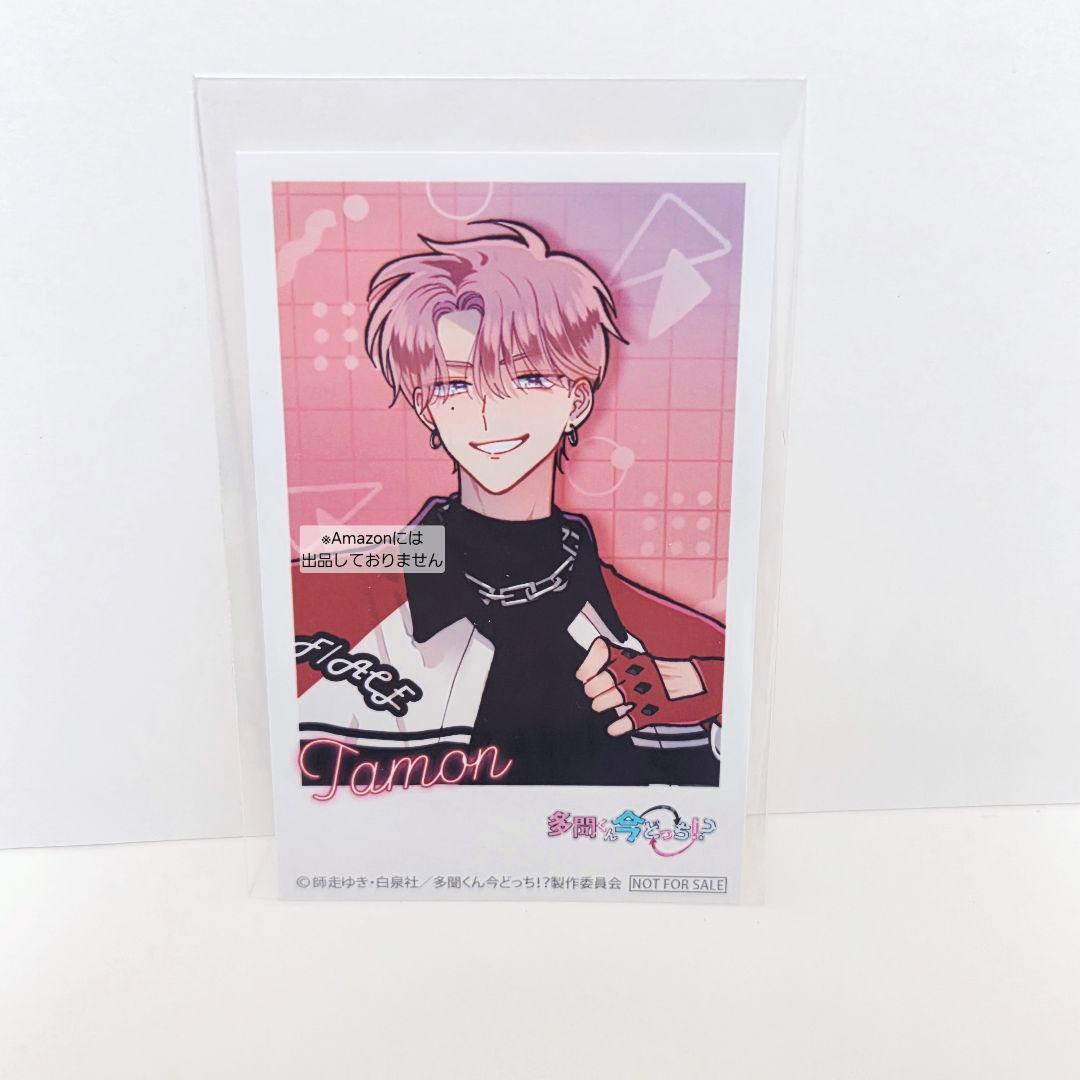 多聞くん今どっち!? CD 特典 アニメイト ミニフォトカード コンプリート