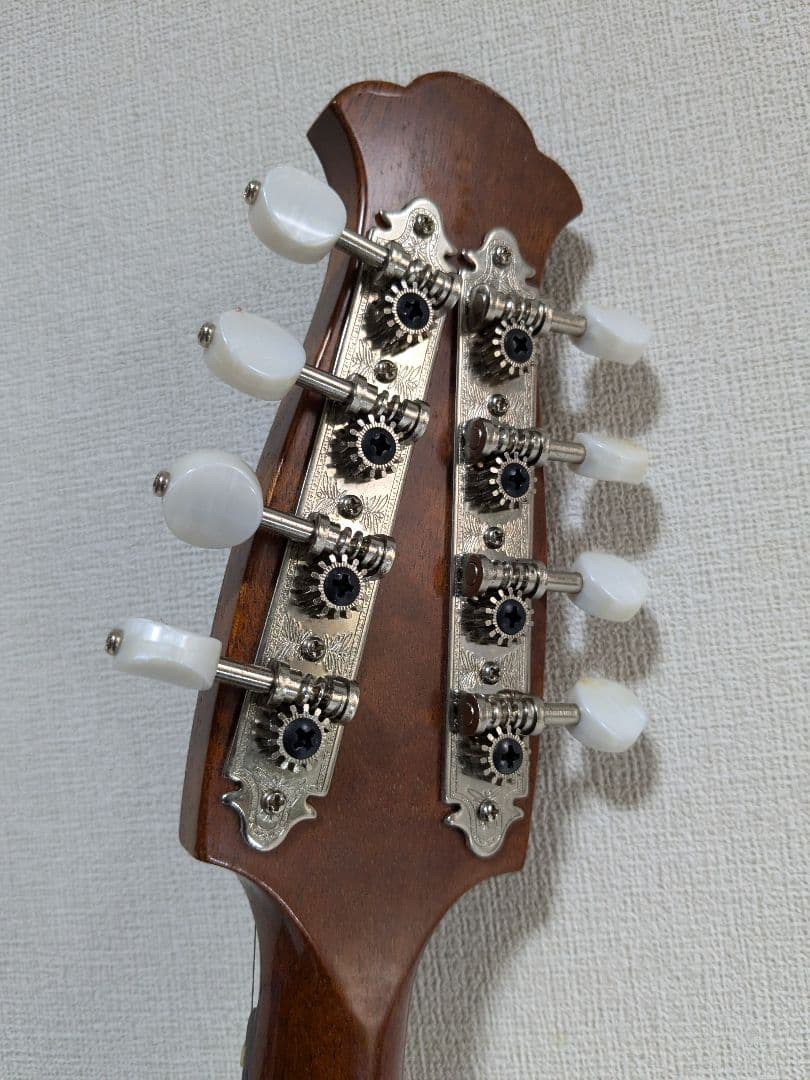 藤丸常夫 マンドリン ハードケース付き