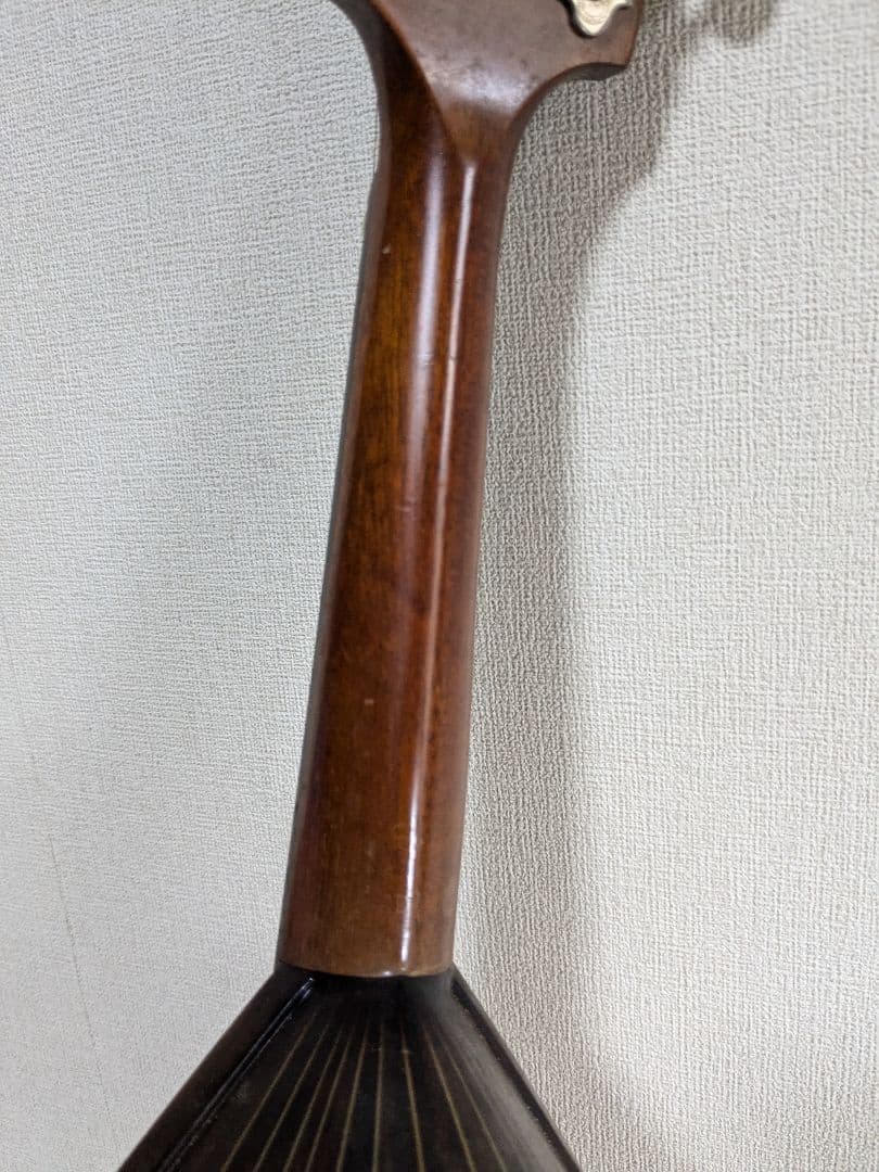 藤丸常夫 マンドリン ハードケース付き