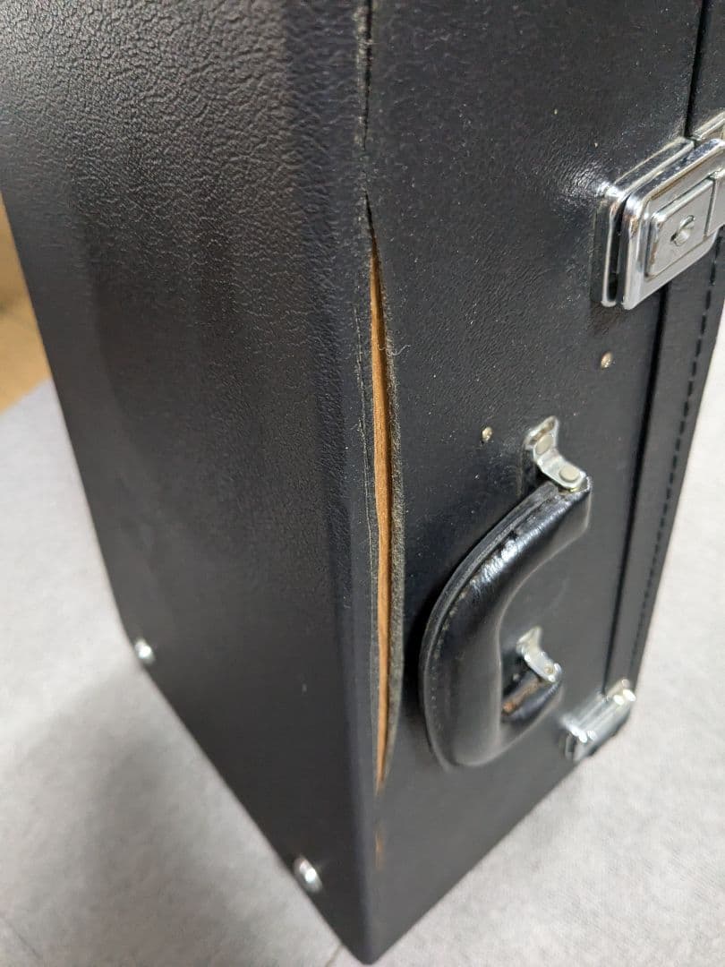 藤丸常夫 マンドリン ハードケース付き