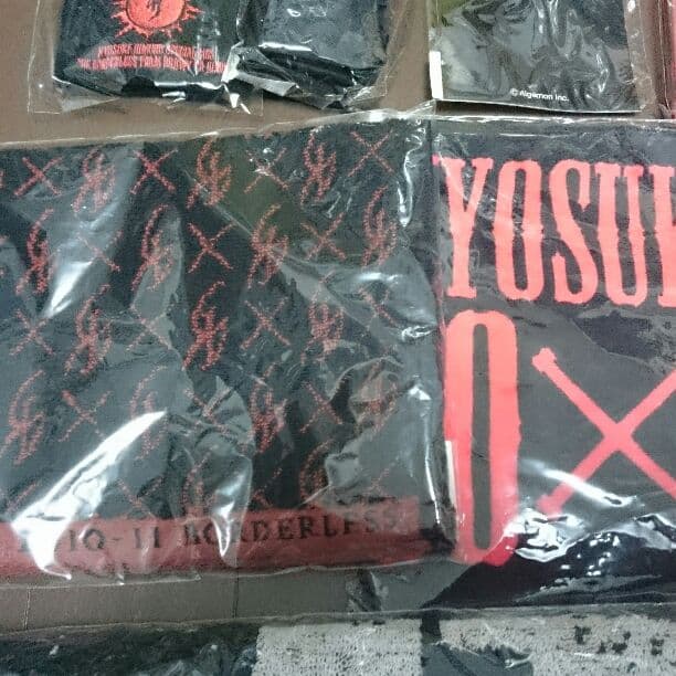 氷室京介 2010年ツアーグッズ９点セット