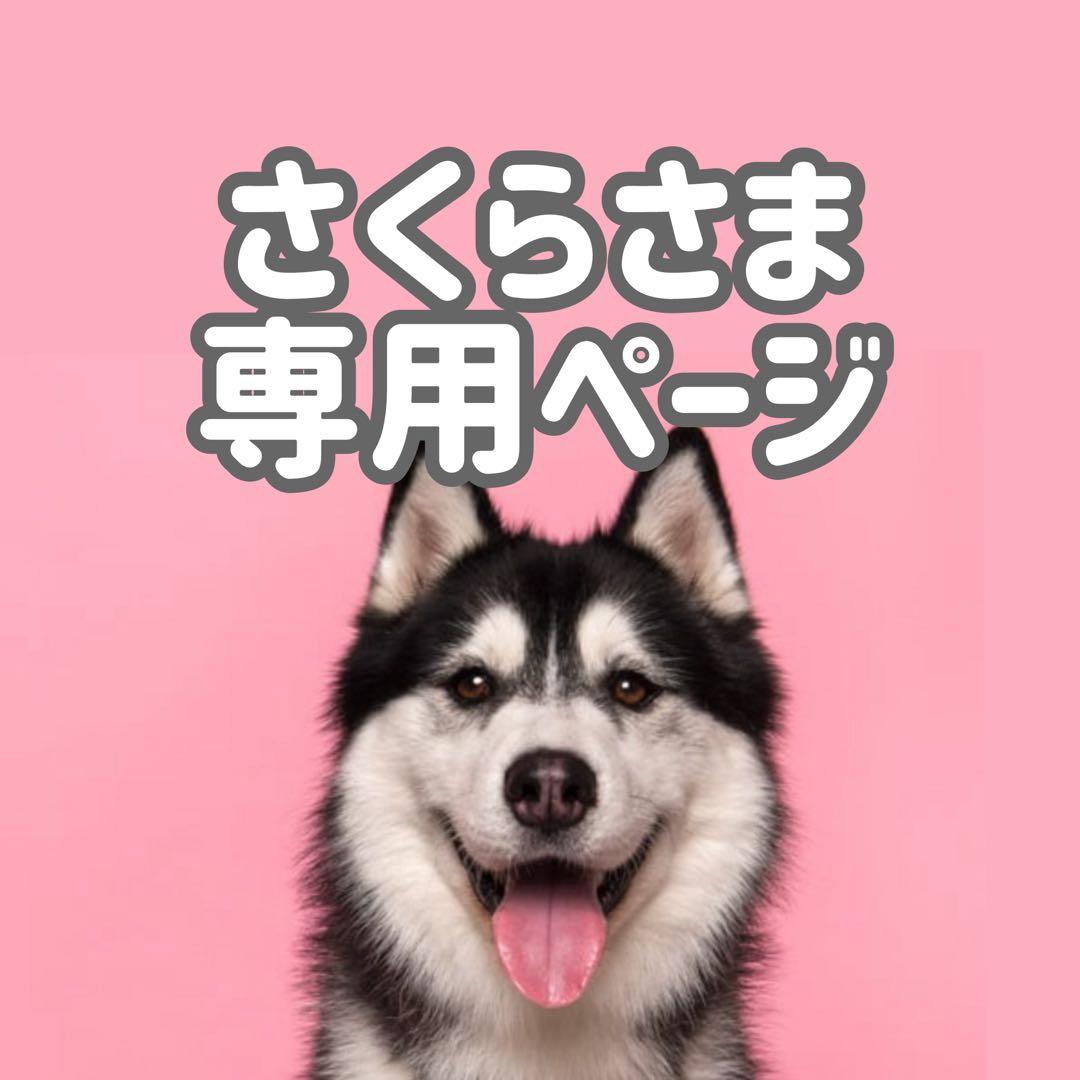 bmラム15 中◯●さくらページ●◯