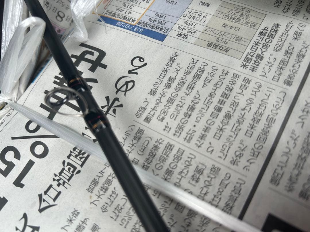 極美品メガバスデストロイヤー エヴォルジオン F5.1/2-68Xtiディアブロ