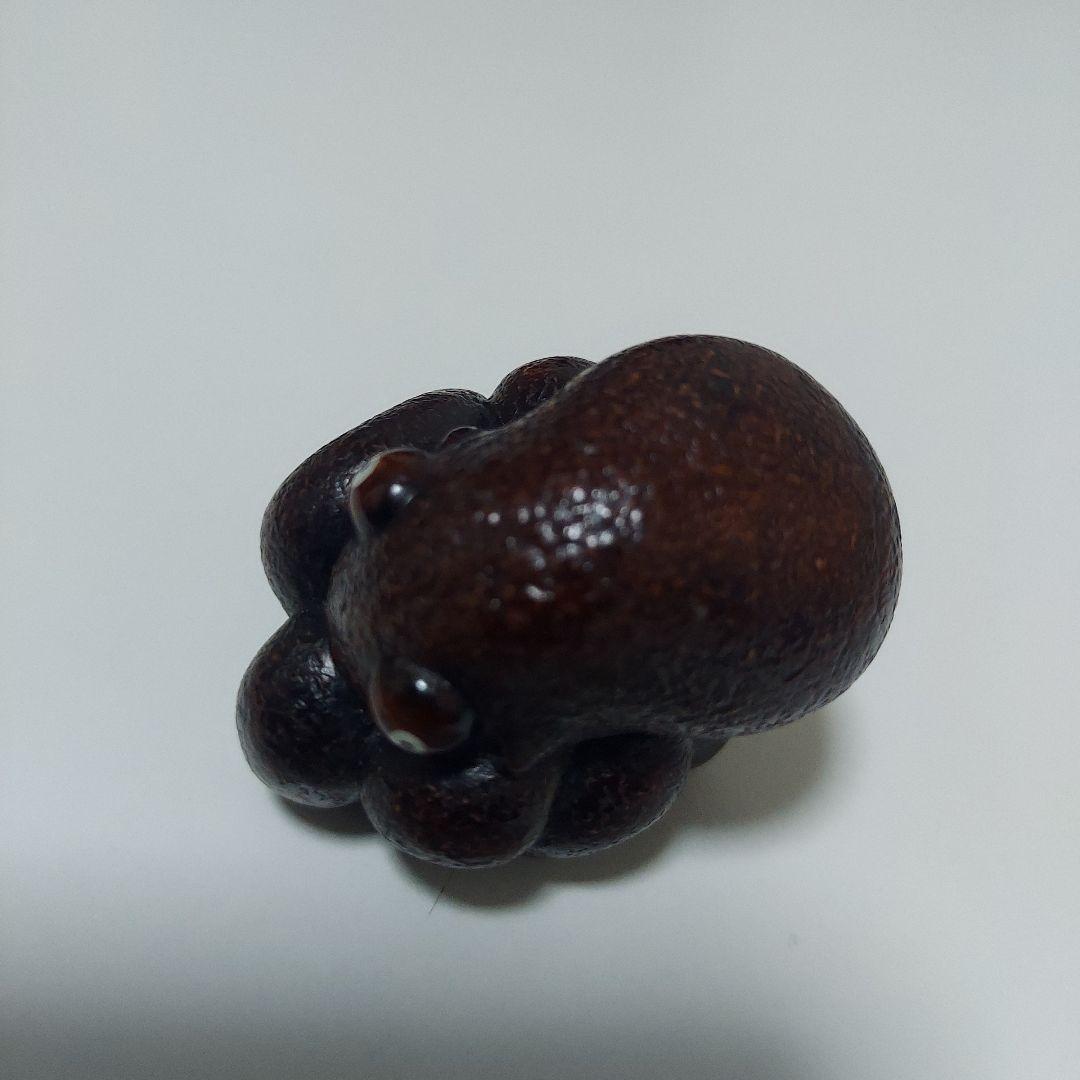 根付　蛸　タコ　現代根付