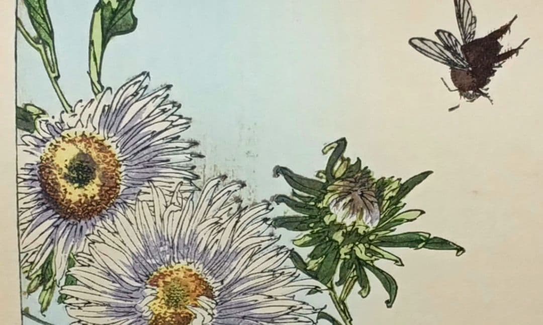 稀省亭版画花鳥画帖12図柄入り渡辺省亭画、明治後期頃芸艸堂出版