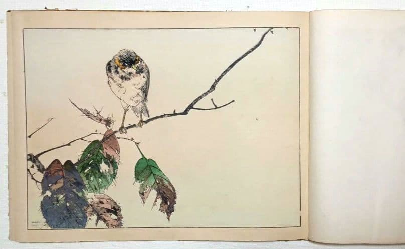 稀省亭版画花鳥画帖12図柄入り渡辺省亭画、明治後期頃芸艸堂出版