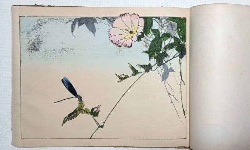 稀省亭版画花鳥画帖12図柄入り渡辺省亭画、明治後期頃芸艸堂出版