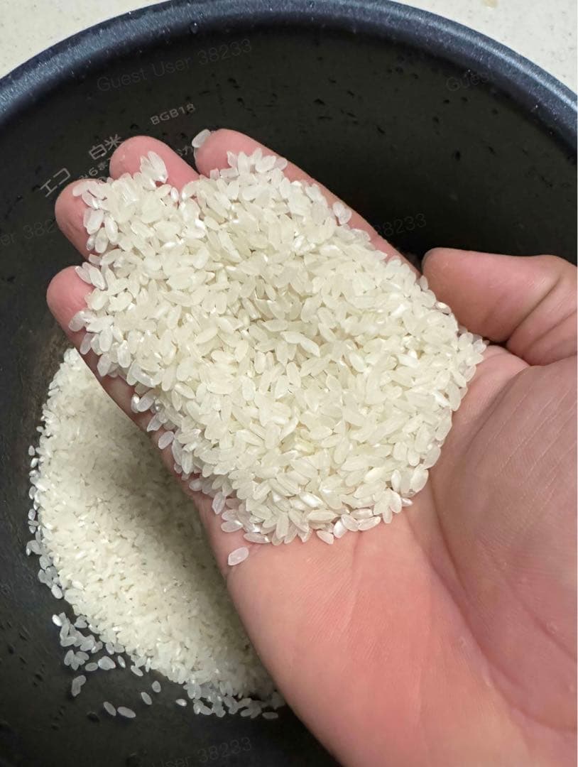 ネ*ニ様 AMERICA お米8kg×3=24kg。