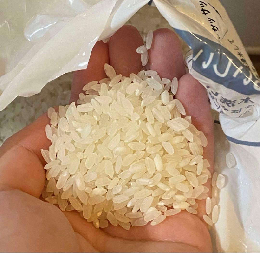 ネ*ニ様 AMERICA お米8kg×3=24kg。