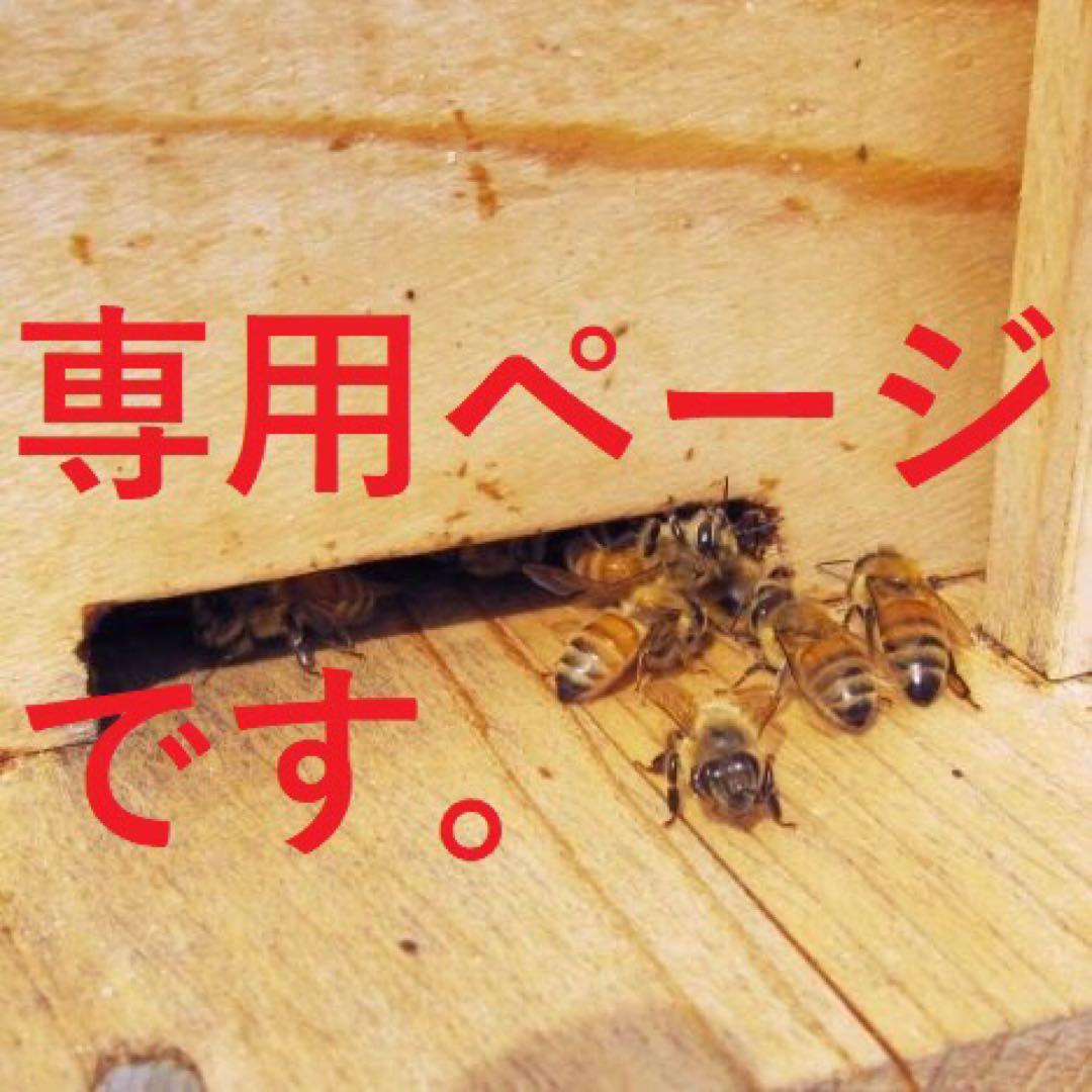 専用【ちぃ様】百花蜜・1000g×3本とシナモンパウダー2つセット