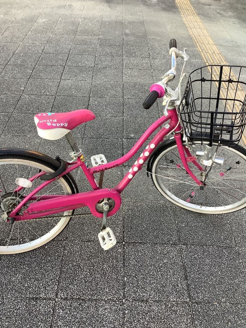 ブリヂストン・２２インチ・女児用