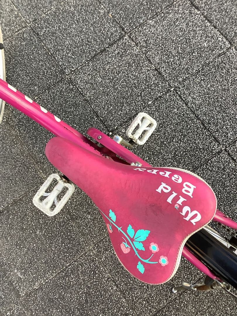 ブリヂストン・２２インチ・女児用