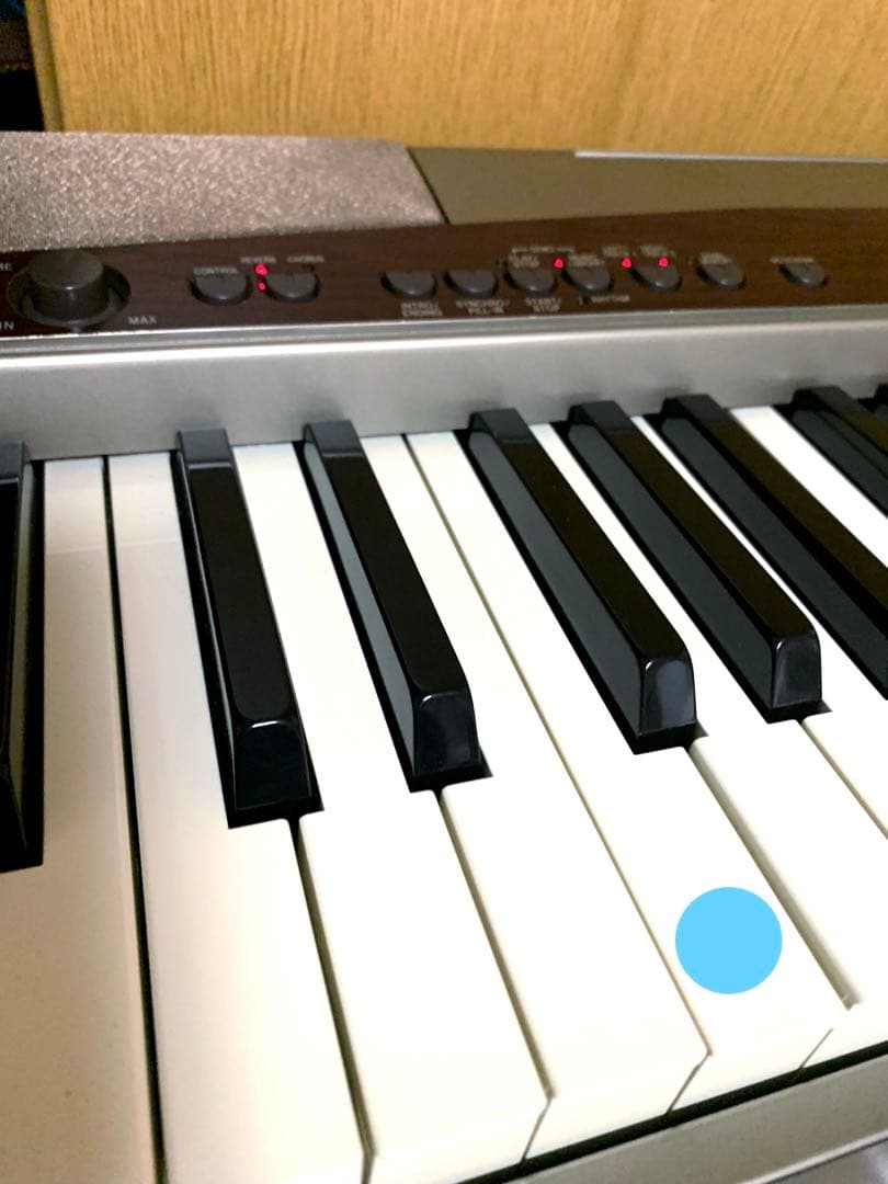 CASIO◆ 88鍵盤 電子ピアノ Privia プリヴィアPX-100【本体】