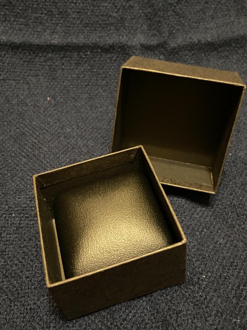 小室哲哉2013【Beginning of the End】 TK シルバーピン