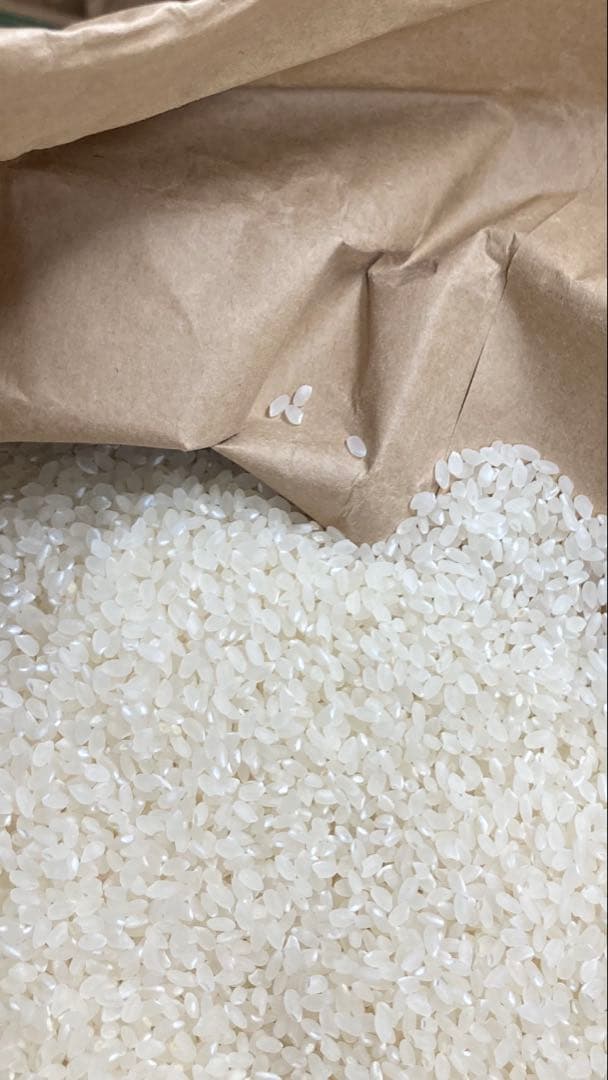 秋田県産　令和6年産あきたこまち　白米27キロ