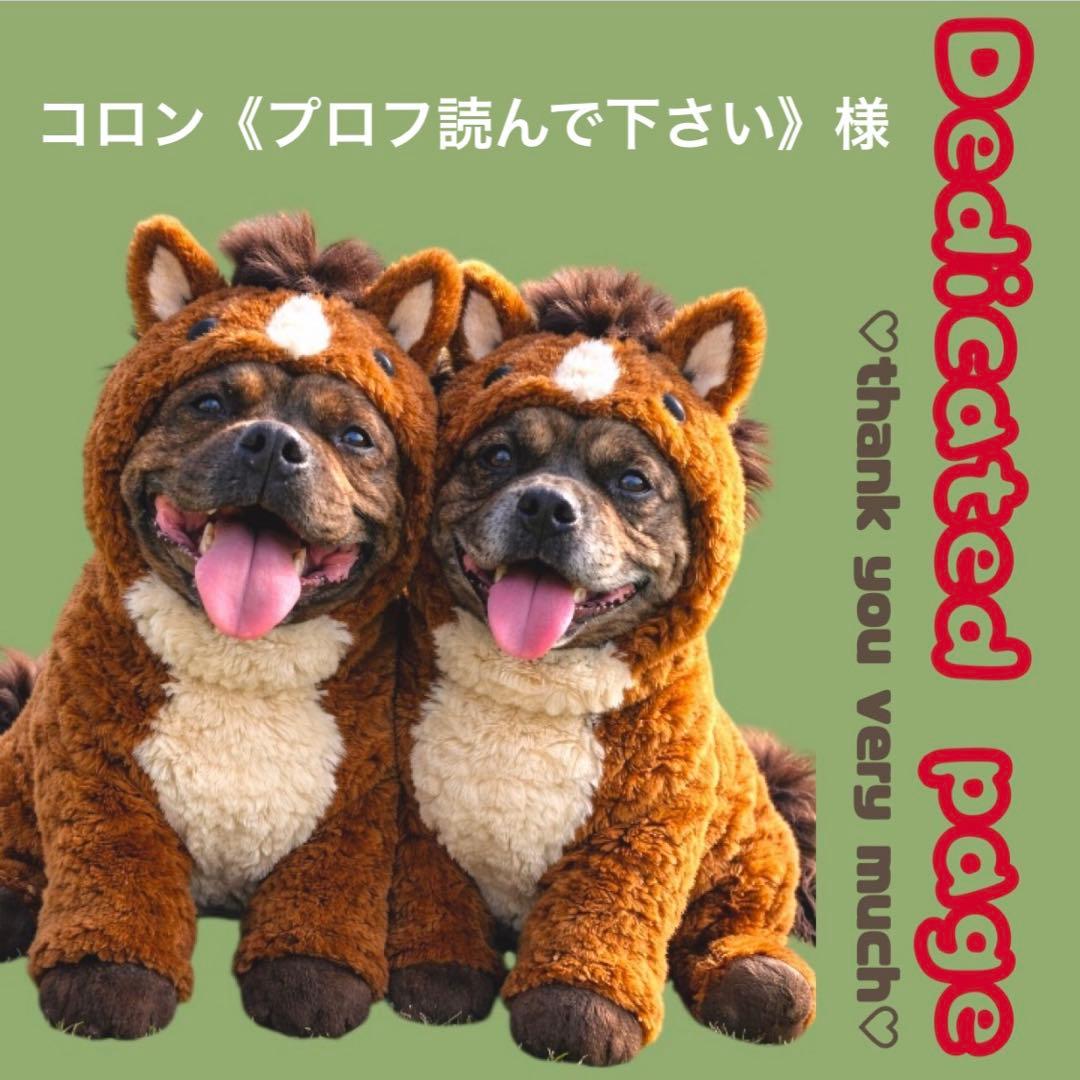 コロン《プロフ読んで下さい》