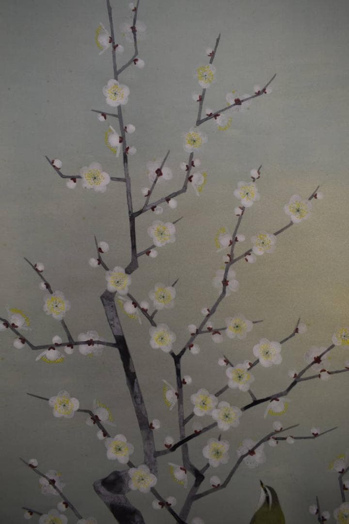 真作/新山晃司/紅白梅鴬図/桐共箱二重箱付/布袋屋掛軸HF-985