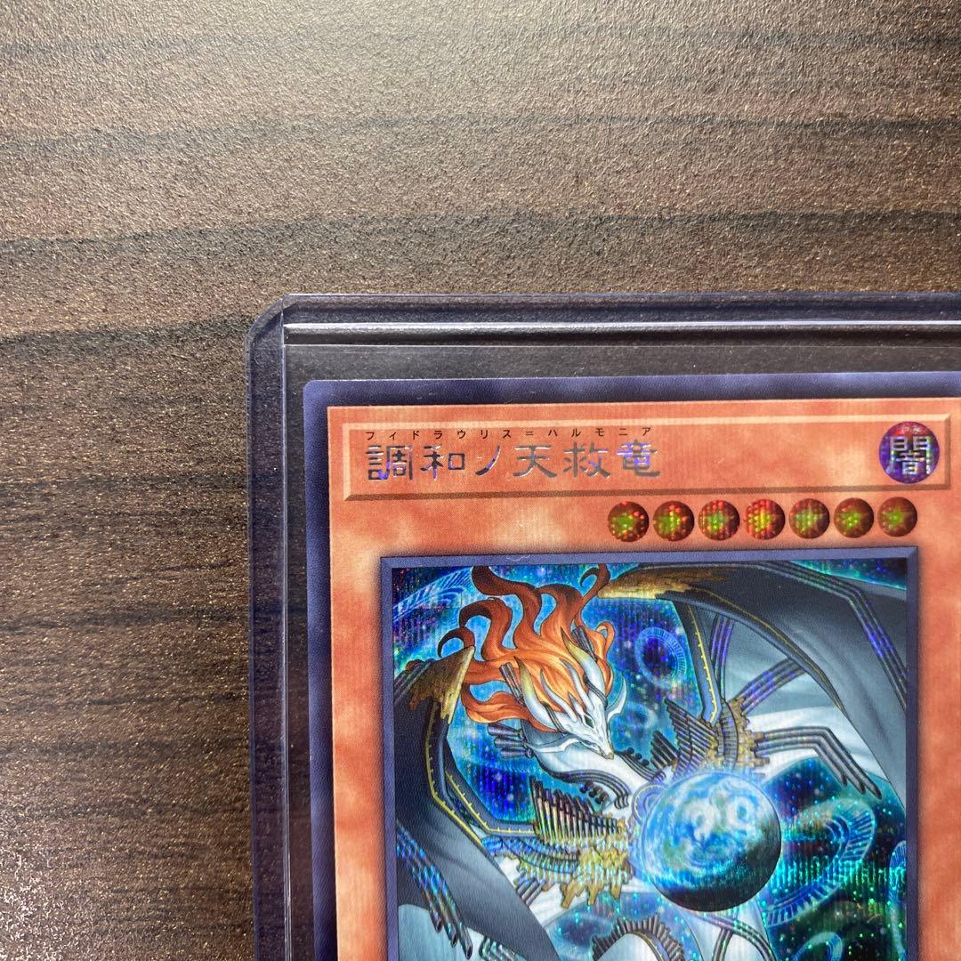 遊戯王 調和ノ天救竜 ハルモニア シークレット 1枚