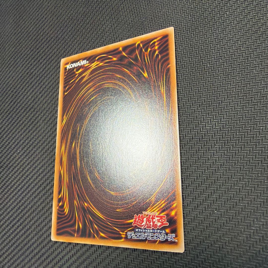 禁じられた聖冠　プリシク