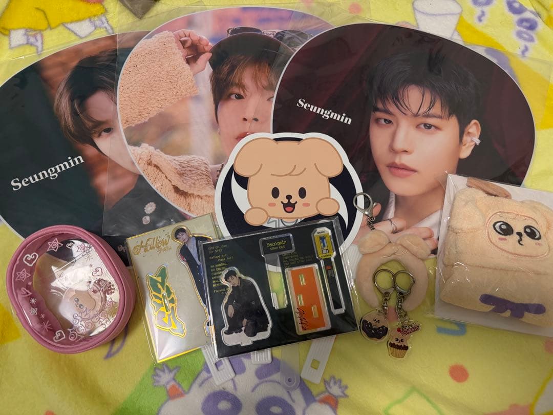 straykids スンミン まとめ売り